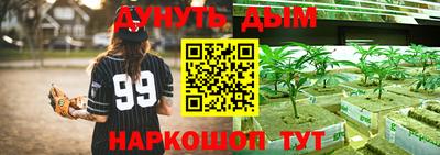 мет Новозыбков